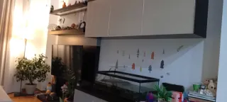 Conjunto de Mueble de madera robusto