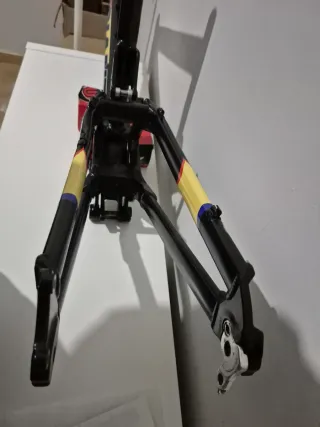 Cuadro Giant DH Team