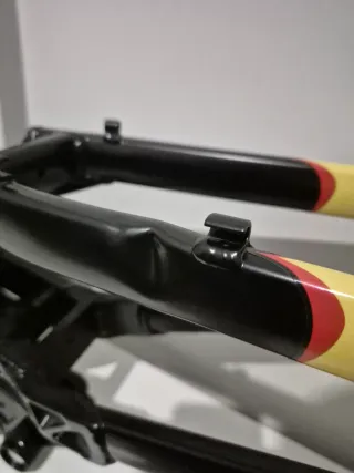 Cuadro Giant DH Team