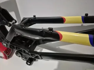 Cuadro Giant DH Team