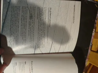 Los niños y el misterio