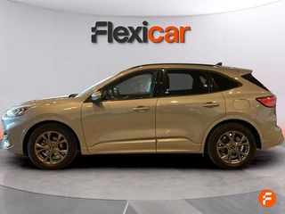 Ford Kuga ST-Line 1.5 EcoBlue 88kW (120CV)