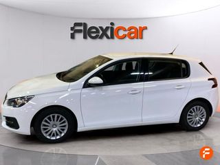 Peugeot 308 5P Business Line BlueHDi 100 S&S 6V MAN