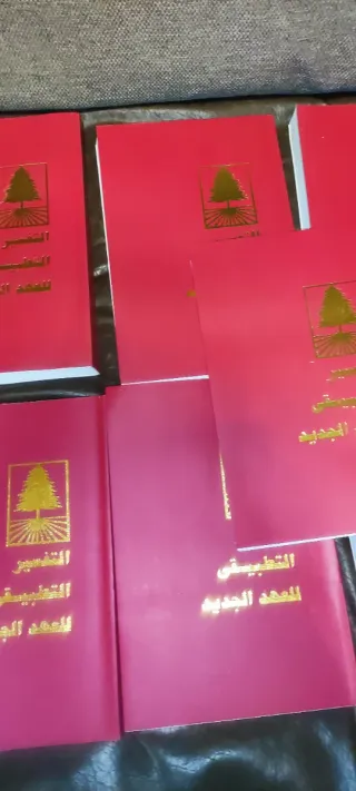 Lote 11 biblias árabes