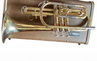 Tromba Yamaha YCR 231 con custodia