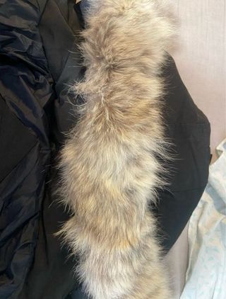 Abrigo Canada Goose Negro Talla S