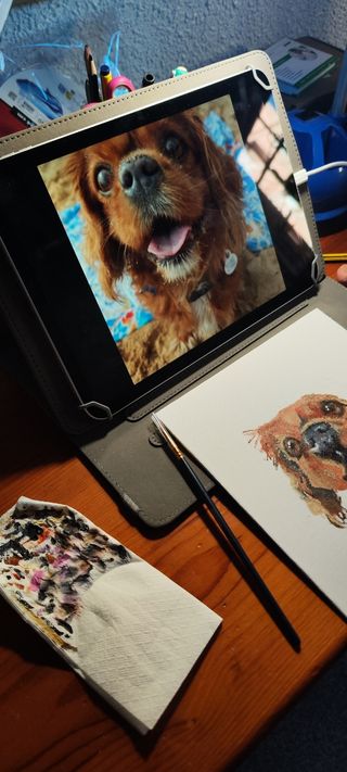 Cuadro personalizado de mascota