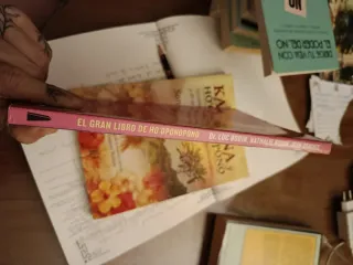 El gran libro de Ho'oponopono (Spanish Edition)