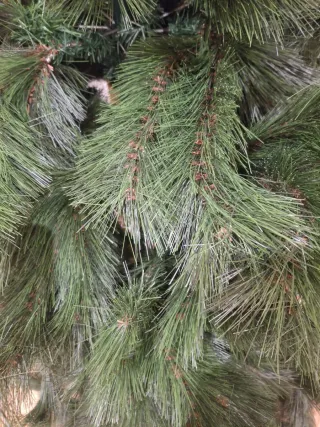 Árbol de Navidad 1.80m Nuevo