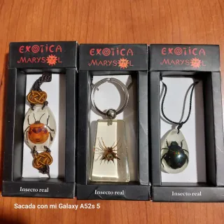 3x Insectos Reales en Resina - MARYSL