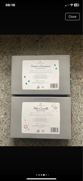 Profumatori Ambiente Victor Philippe Set