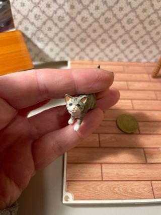 Gatto in piedi per casa delle bambole