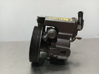 BOMBA DIRECCION CITROEN BERLINGO WJY S/R