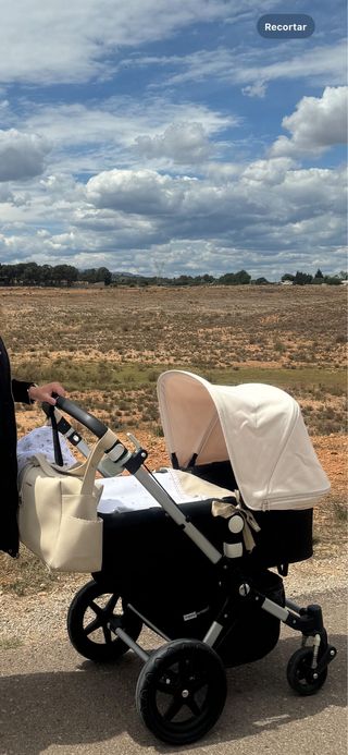 Carro Bugaboo Camaleón 3