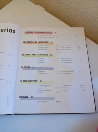 EL CUERPO HUMANO,  ORGANOS . SISTEMAS . FUNCIONES