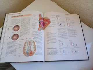 EL CUERPO HUMANO,  ORGANOS . SISTEMAS . FUNCIONES