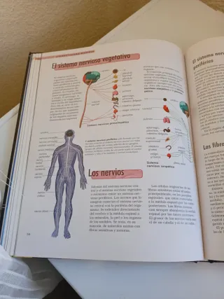 EL CUERPO HUMANO,  ORGANOS . SISTEMAS . FUNCIONES