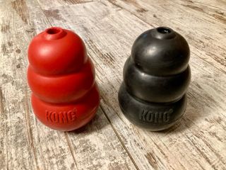 Kong giochi per cani gomma media durezza