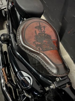 Harley Davidson Sportster 1200 Custom