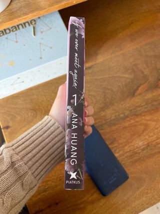 If We Ever Meet Again