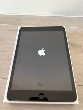 iPad Mini 16GB WiFi Negro/Plateado
