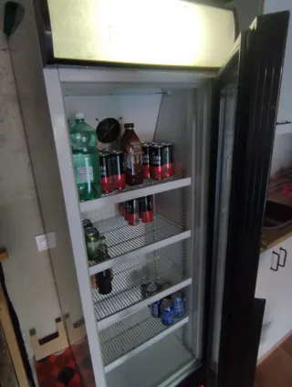 Refrigerador expositor