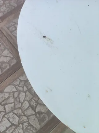 Mesa de centro redonda blanca