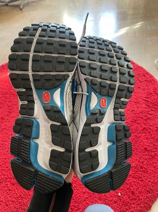 Zapatillas Nike Pegasus Air 26