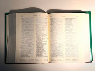 Lote Biblias del Peregrino