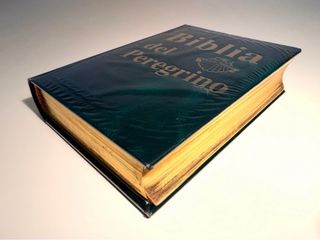 Lote Biblias del Peregrino