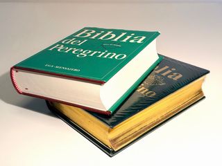 Lote Biblias del Peregrino