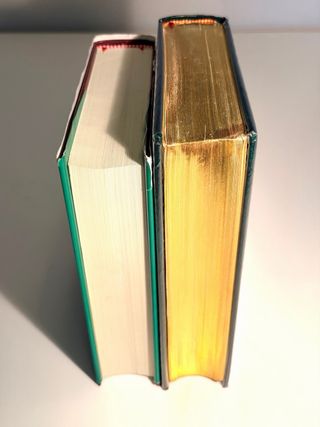 Lote Biblias del Peregrino