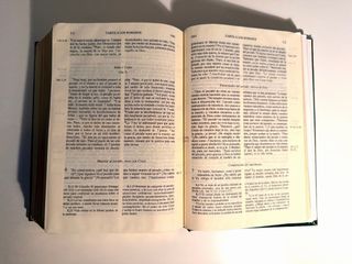 Lote Biblias del Peregrino