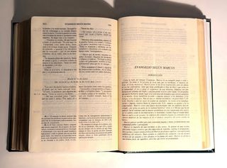 Lote Biblias del Peregrino