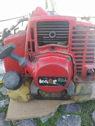 Vareadora de aceitunas profesional