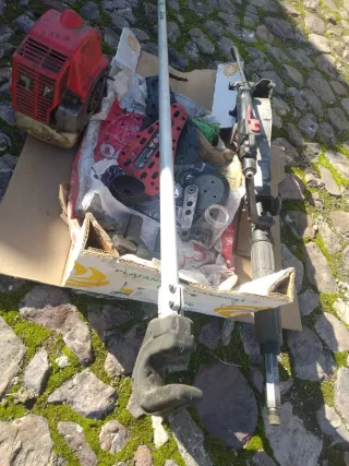 Vareadora de aceitunas profesional