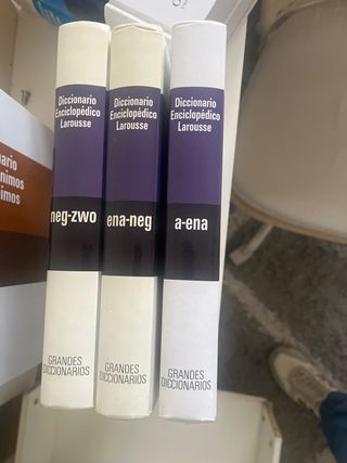 Diccionario enciclopédico Larousse 3 vol