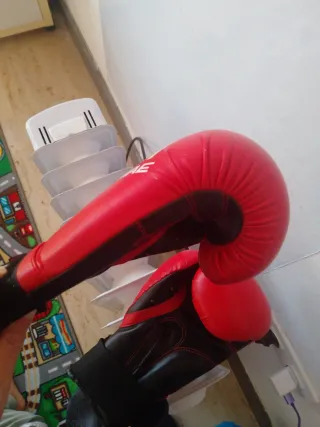 Guantes de boxeo/taekwondo Fuji Mae