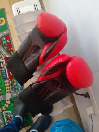 Guantes de boxeo/taekwondo Fuji Mae