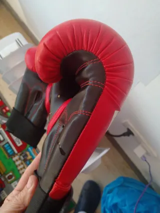 Guantes de boxeo/taekwondo Fuji Mae