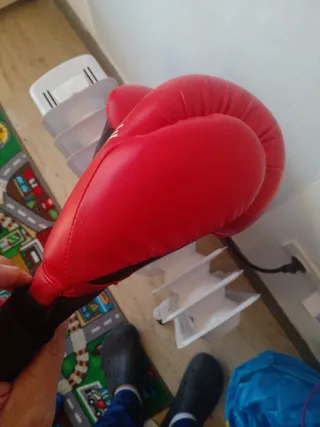 Guantes de boxeo/taekwondo Fuji Mae