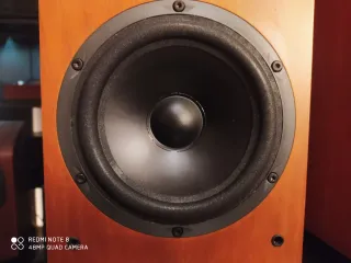 Monitores JBL XTI-20