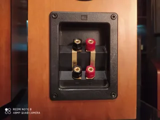 Monitores JBL XTI-20