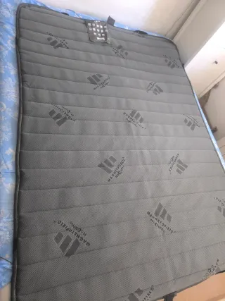 Magnetoterapia Magnetofield 100 Gauss