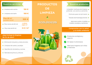 LIMPIEZAS PROFESIONALES