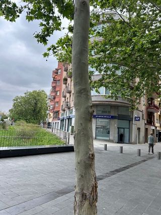 Casa adosada en venta en Centre en Sant Boi de Llobregat