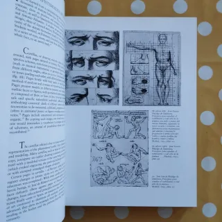 A Sum of Destructions: Picasso's Cultures