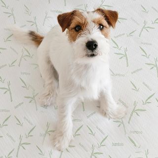 Utopia Bedding Protector de Colchón 150 x 200 x 30