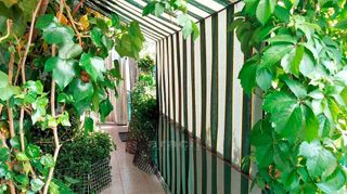 Ático en venta en Alcoy/Alcoi