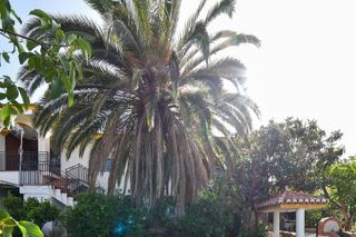 Chalet en venta en Padul